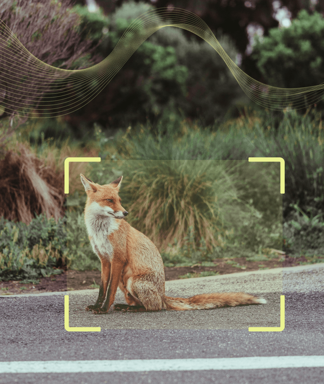 Transport & Infrastructure